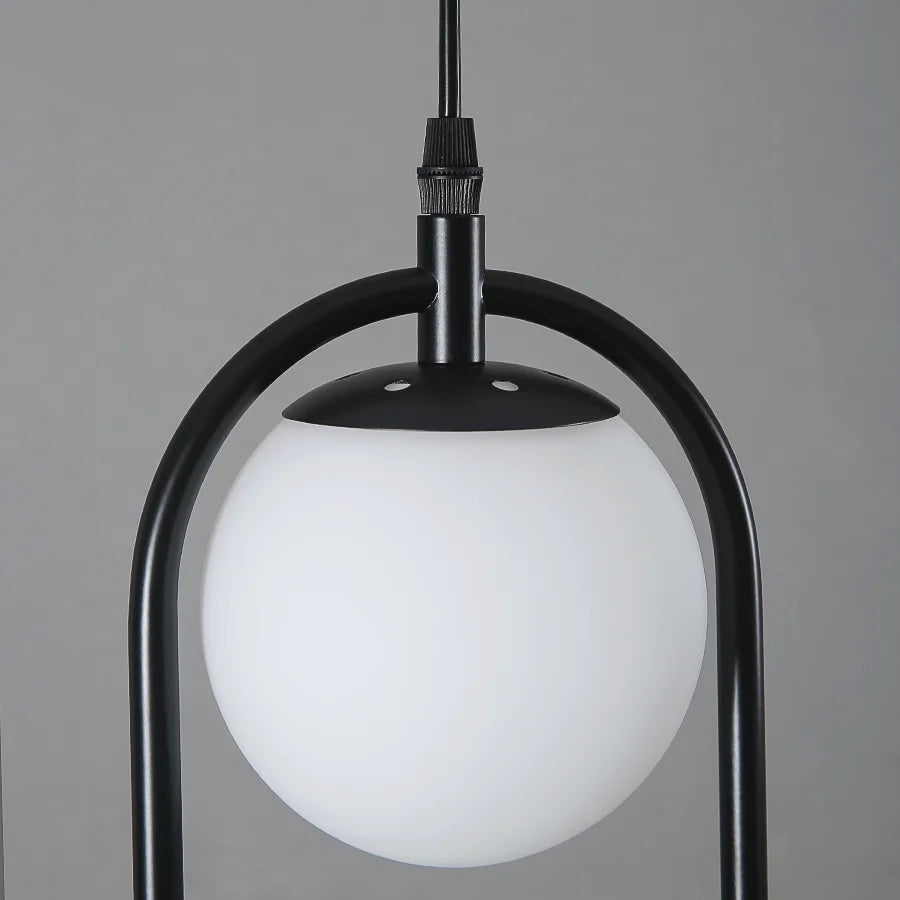 Close-up of Plant Hanging Globe Black Pendant High Ceiling Lamp Light for Bathroom, Bedroom, Dining Room, Hallway, Kitchen, and Living Room